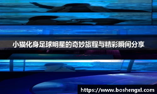 小猫化身足球明星的奇妙旅程与精彩瞬间分享